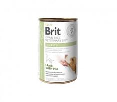 Brit GF Veterinary Diets konservuotas pašaras šunims Diabetes 400g. x 6vnt.