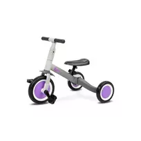 Vaiku Baze Dviratukas/triratukas Toyz FOX 4in1, grey/purple
