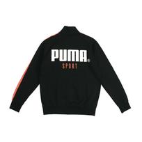 Puma Sportinė striukė su stovinčia apykakle Vyriškos striukės juodos 598135-01 S gray