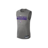 Nike „Dri-FIT“ NBA raidžių logotipas Spausdinti krepšinio marškinėliai „Los Angeles Lakers“ vyrų marškinėliai pilki DR6771-063 XXL gray