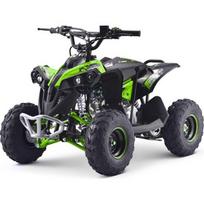 Benzininis keturratis Renegade 110CC, žalias