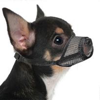 Breathable dog muzzle for Chihuahua - Lightweight mesh