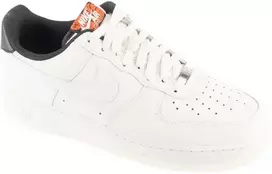 Nike Air Force 1 07 IQ0293-030 Balti 40.5