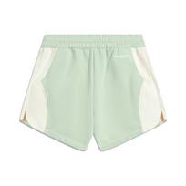 Li Ning X HZW Tennis Collaboration CF Series Color Block Sports Shorts Women Shorts Foam-Green AKST728-4 XL white