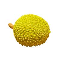 Soft Durian Fruit Squishy Toy – Slow Rising Stress Relief for  Adults, Squeeze Anti-Anxiety Sensory Fidget Toy