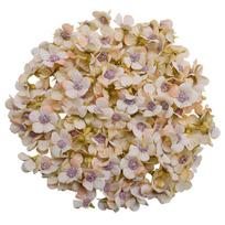 50 vnt. 2 cm spalvingų ramunėlių žiedų galvutės Mini šilkinės dirbtinės gėlės vainikui, scrapbookingui, namų, vestuvių dekoravimui brown
