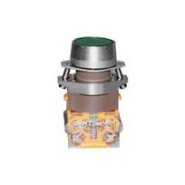 Zhengtai LAY39 Push Button
