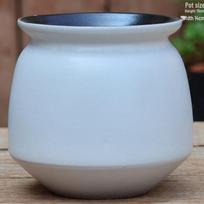 Large Ceramic Pot for Spider Plant, Pothos, Succulents & Bird of Paradise - Creative Coarse Pottery for Home Use. Large-Coarse Pottery