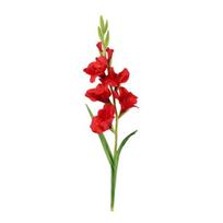 Artificial Gladiolus Flower Silk Flower Realistic Fake Office Wedding Home Party Indoor Outdoor raudona