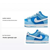 Nike Dunk Low Retro QS PS Argon 2022 Vaikų sportbačiai Mėlynas Flash Baltas DV2635-400 28 blue
