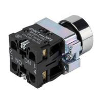 Zhengtai NP2 22mm Green Self-Resetting Flat Push Button