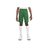 Nike Dri-Fit Spark Comfortable Soft Skin-Friendly Quick-Dry Shorts Kids Shorts Light-Green HF0531-302 XS