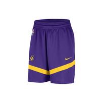 Nike Los Angeles Lakers Dri-FIT NBA Color Block Logo Training Straight Leg Basketball Pants Men bottoms Deep-Purple DZ3722-504 XL