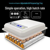 Visiškai automatinis išmanusis inkubatorius vištų, ančių, žąsų, balandžių ir papūgų kiaušiniams 6 Eggs Single Power Automatic white