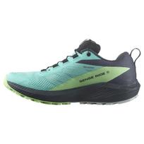 Salomon  Sense Ride 5 GORE-TEX Blue Radiance India Ink Women Sneakers Green-Ash L47216000 38⅔ gray