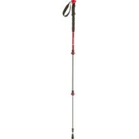 Teleskopinės lazdos Ferrino Batura Stick, 2 vnt.