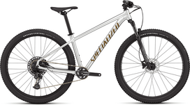Kalnų dviratis Specialized Rockhopper Expert Gloss Silver Dust/Satin Burnt Gold Metallic