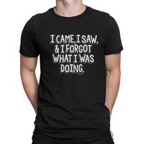 I Came I Saw I Forgot What I Was Doing Mens Funny Slogan T-Shirt Novelty S įvairiaspalvis