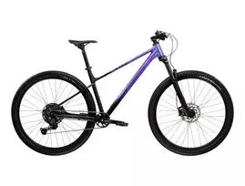 KROSS Level X300 MY26 / Blue-Black Matte / kalnų (MTB) dviratis (29")