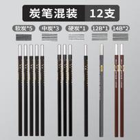 12Pcs Marie's Charcoal Pencils,For Drawing,Sketching,Shading,Beginners,Artists,Professionals,Perfect Art Supplies Stationary