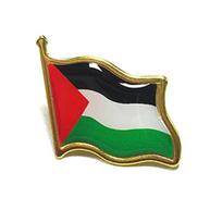Durable Brooch Children Lapel Pin PLE Flag Shaped Stylish Lapel Pin Brooch Alloy Material for Fashion Outfits 1
