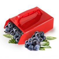 Šepečiai ir plaukų aksesuarai, Berry Picker – metalinės šukos su ergonomiška rankena mėlynėms ir kt.