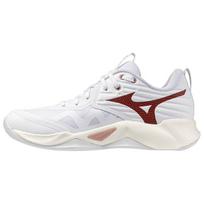 Mizuno WAVE MOMENTUM PRO V1GC254073 Women's Volleyball Shoes 42