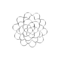 Metal Flower Frog Floral Stem Holder Wire Pin Holder for Flower Arranging and Fixing Stems in Vase or Container Durable and Reusable One Size