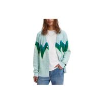 Levis Boxy Cardigan Striped Single-Breasted Embroidered Loose Knitwear Men Tops Green A0709-0021 M