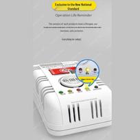 Gangqi YJ-607 Standalone Natural Gas Detector