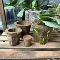 1/2/3Pcs Breathable Repotting Soil - Root Rot Prevention Butterfly Orchid Soil for Dendrobium & Other Orchidaceae Plants S for 1.7inch gray
