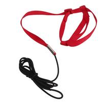Bird Leash Bite Resistant Adjustable Parrot Flying Training Rope for Walking Attending PartyRed S S raudona