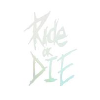 Dviračio rėmo lipdukas Ride Or Die Top Tube lipdukai Dviračių lipdukai Dekoratyviniai rėmo lipdukai Dviračio lipdukai Dviračio lipdukai 1vnt