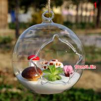 Hanging Transparent Ball Glass Flower Planter Vase Terrarium Landscape Container(Vase Only) gray