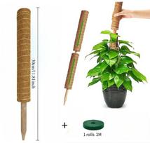 Lanksti samanų atrama Augalų laipiojimo atrama Prailginimo strypas Monstera Palmių Lianos Atraminiai kuoliukai Sodo vazoninių augalų priedai green