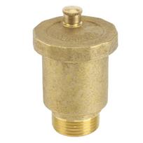 Brass Automatic Air Vent Valve 3/4 Inch Male Thread For Solar Water