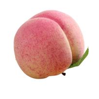 10pcs Mini Artificial Foam Peach Handicrafts Realistic Fake Peach Fruit Lifelike Faux Fruit Ornament Fruit Shop Decoration (as the picture,4XL)