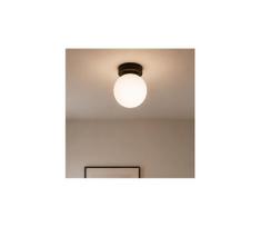 Brilagi - Taškinis šviestuvas MILO 1xE27/60W/230V juodas