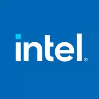 CPU Intel Xeon E-2314 LGA 1200, 4 branduoliai, 4 gijos, 2.8 GHz (turbo 4.5 GHz), 8MB talpykla, 65 W
