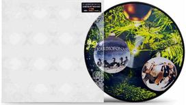 Kardiofonas - Kalėdų Eglutė/Šokiai Parke LP Picture