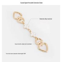 Coach Teri Bag Metal Extension Chain