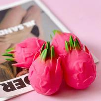 Realistic Dragon Fruit Squishy Toys, Soft Stress Relief Squeeze Balls, Cute Fake Food for Adults Kids United States