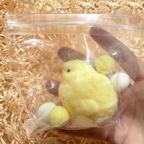 Squishy Chicken Cute Handmade Silicone Soft Flocked Yellow Chicken Seal Soft Chicken Kids Birthday Gift Toy Cute Squishy Chick