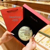 Pure Gold 999 Princess Wealth Cake: Creative Festival Gift to Attract Wealth and Prosperity