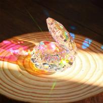 Suncatcher Crystal River Clam Pearl Birthday Gift Home Crystal Craft Ornament One Size brown