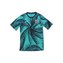 Nike FC Barcelona 20-21 sezono UEFA Čempionų lygos priešvaržybiniai treniruočių marškinėliai vyrams Žali Topai CK9714-397 S