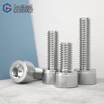 GUWANJI 304 Stainless Steel Hex Socket Cap Screws 20 pcs