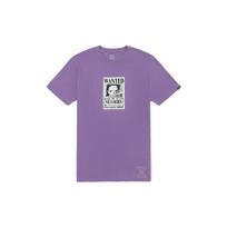 Vans X One Piece Pirate King Series Robin Print Short Sleeve T-Shirt Unisex Tops Deep-Purple VN00005YZB2 S