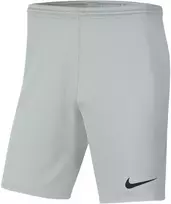 Šortai vaikams Nike Dry Park III NB K pilka BV6865 097 (XL)