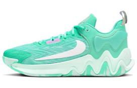 Nike Giannis Immortality 2 EP 'Mint' DM0826-300 43 blue